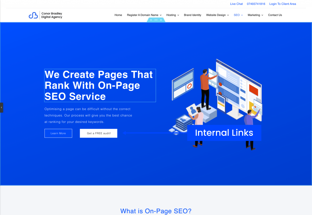 On-Page SEO Service Internal Links Diagram Conor Bradley Digital Agency
