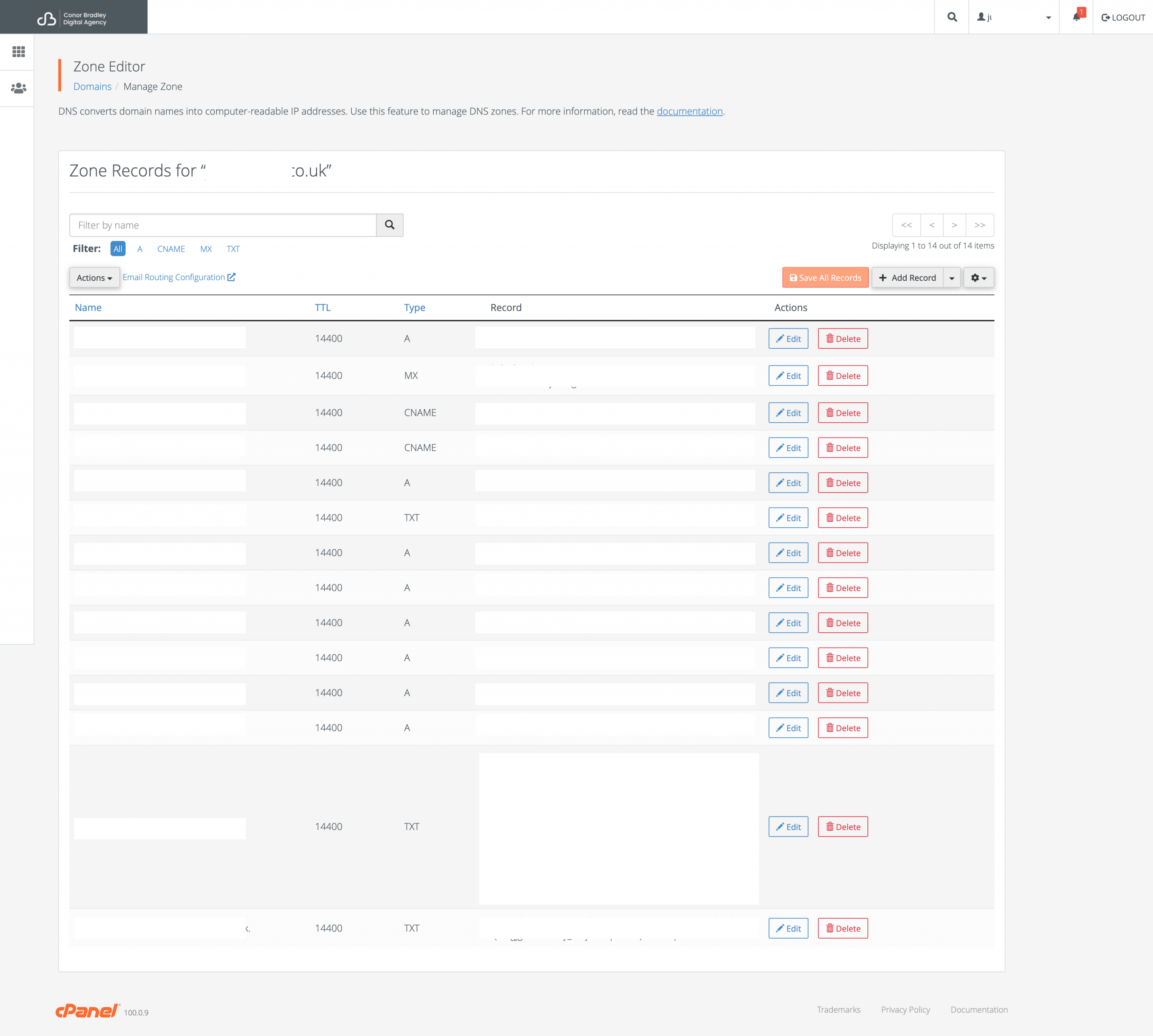 Domain Management Screenshot Conor Bradley Digital Agency