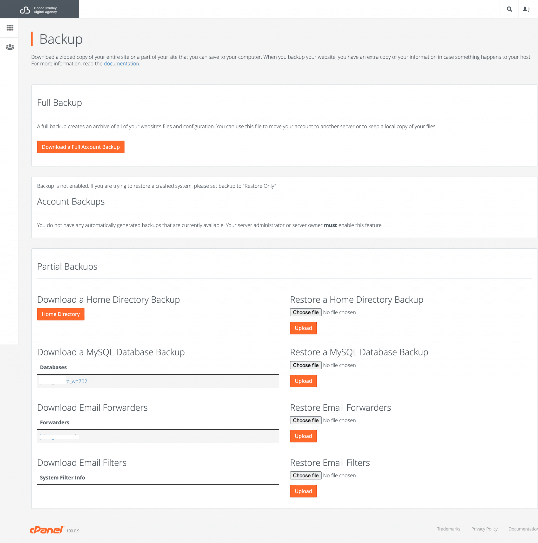 Easily Backup Restore Screenshot Conor Bradley Digital Agency e1644788339937