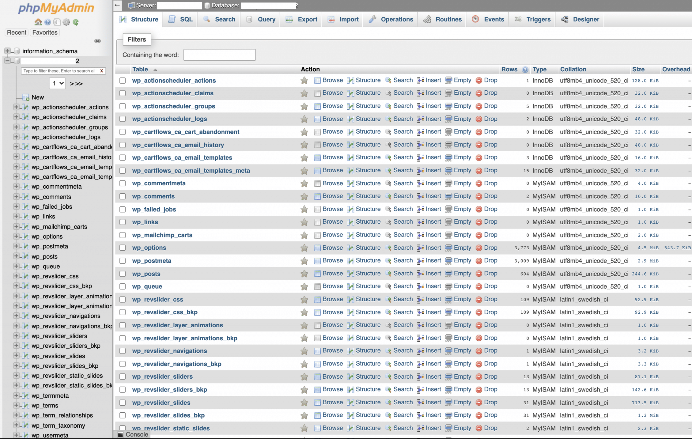 PHPMyAdmin Database Management Screenshot Conor Bradley Digital Agency e1644788370696