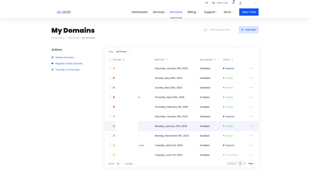 Screenshot of My Domains in Client Portal Conor Bradley Digital Agency
