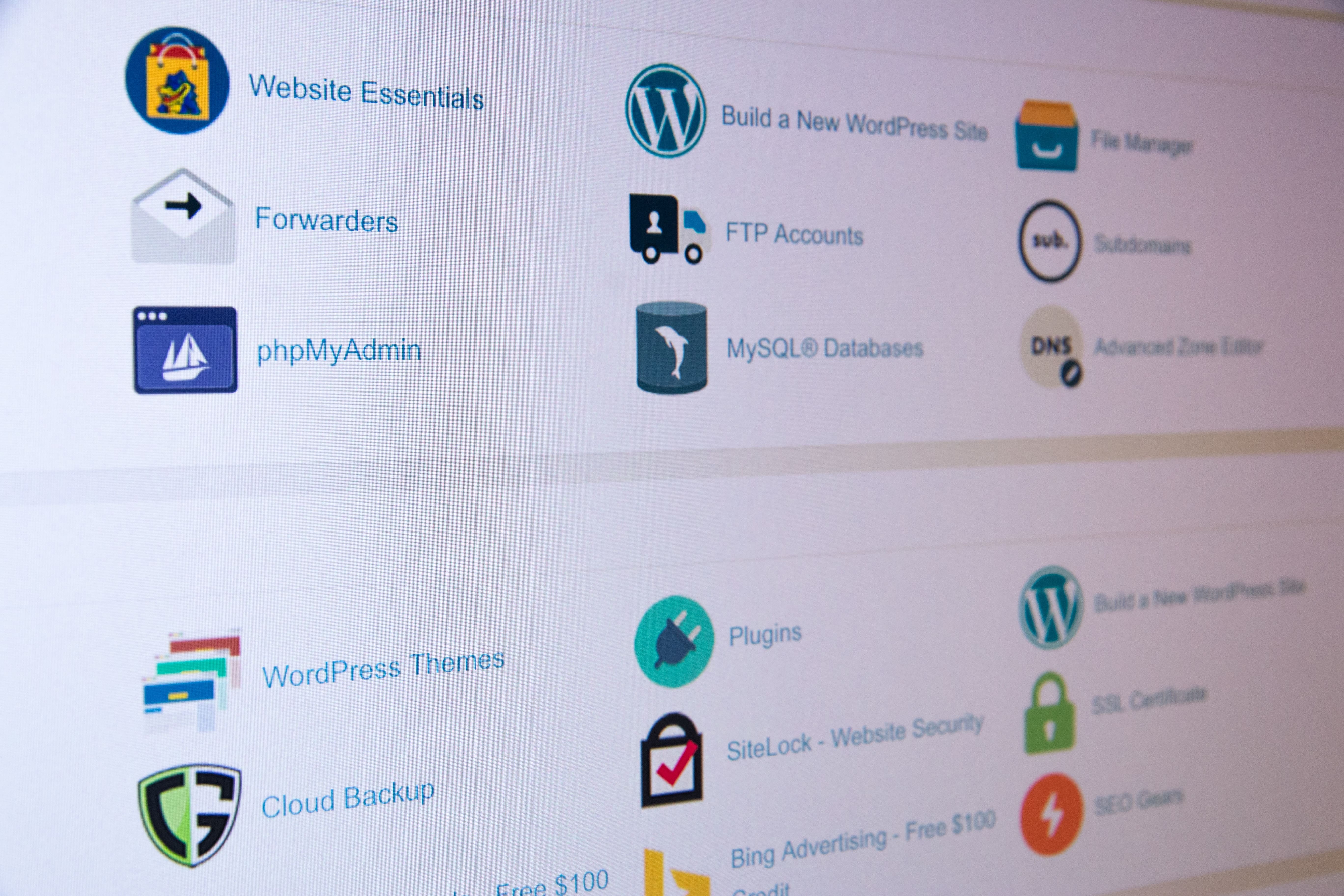 cPanel Screenshot with phone