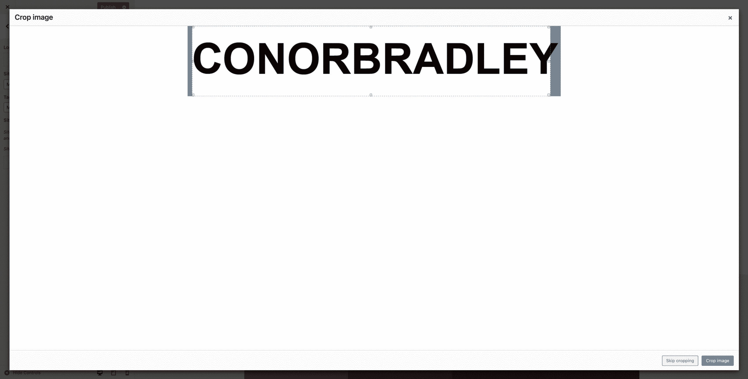 Cropping the conor bradley digital agency logo on wordpress