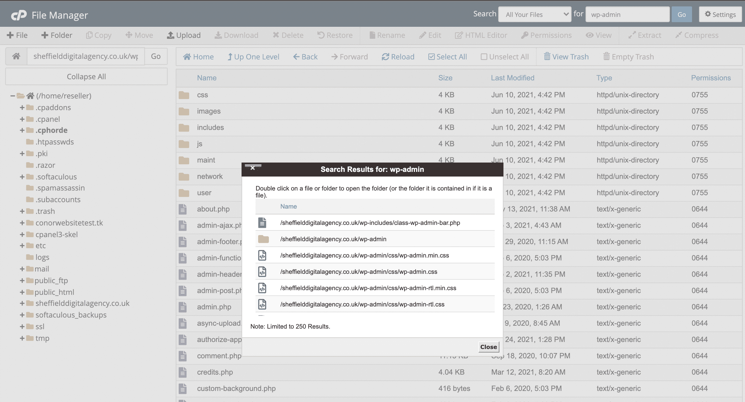 Searching for files in cpanel file manager screenshot conor bradley digital agency